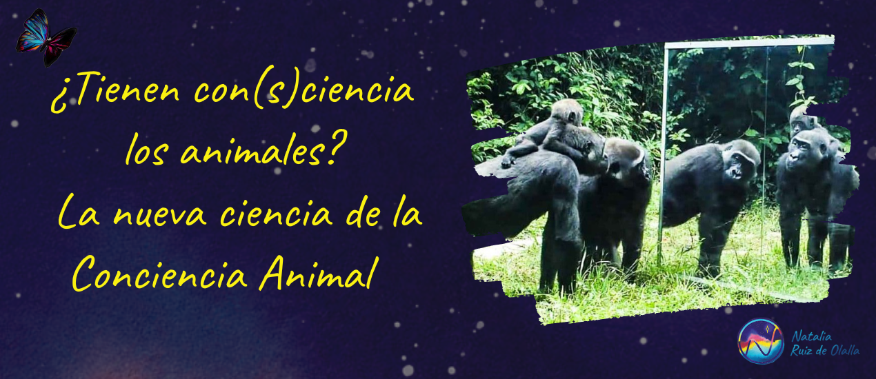 ¿Tienen con(s)ciencia los animales? La nueva ciencia de la Conciencia Animal