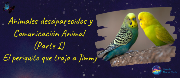 Animales desaparecidos y Comunicación Animal (Parte I). El periquito que trajo a Jimmy