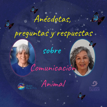 Anécdotas, preguntas y respuestas sobre Comunicación Animal