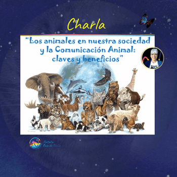 Los animales en nuestra sociedad y la Comunicación Animal: claves y beneficios